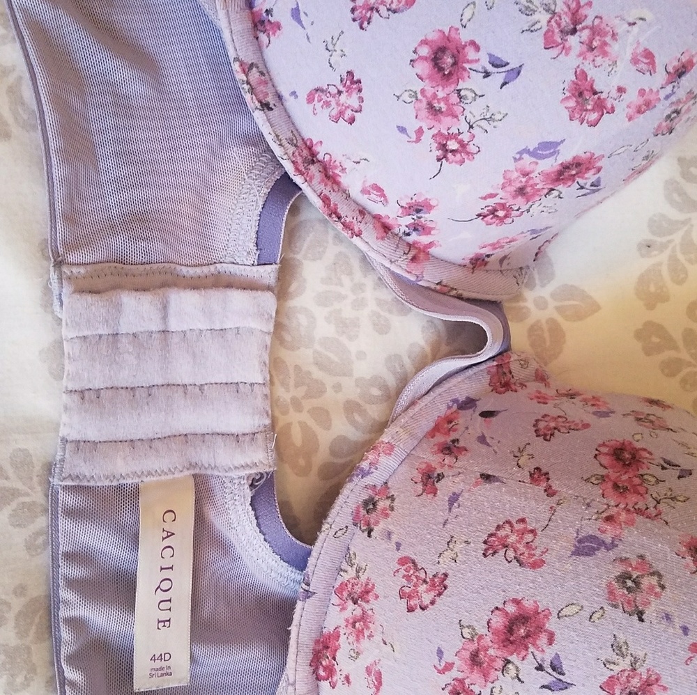 LaneBrynt Cacique plunged Bra